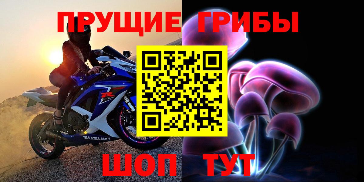 Псилоцибиновые грибы Psilocybine cubensis  купить наркотик  Галлюциногенные грибы прущие грибы  Таганрог  Вход с VPN 